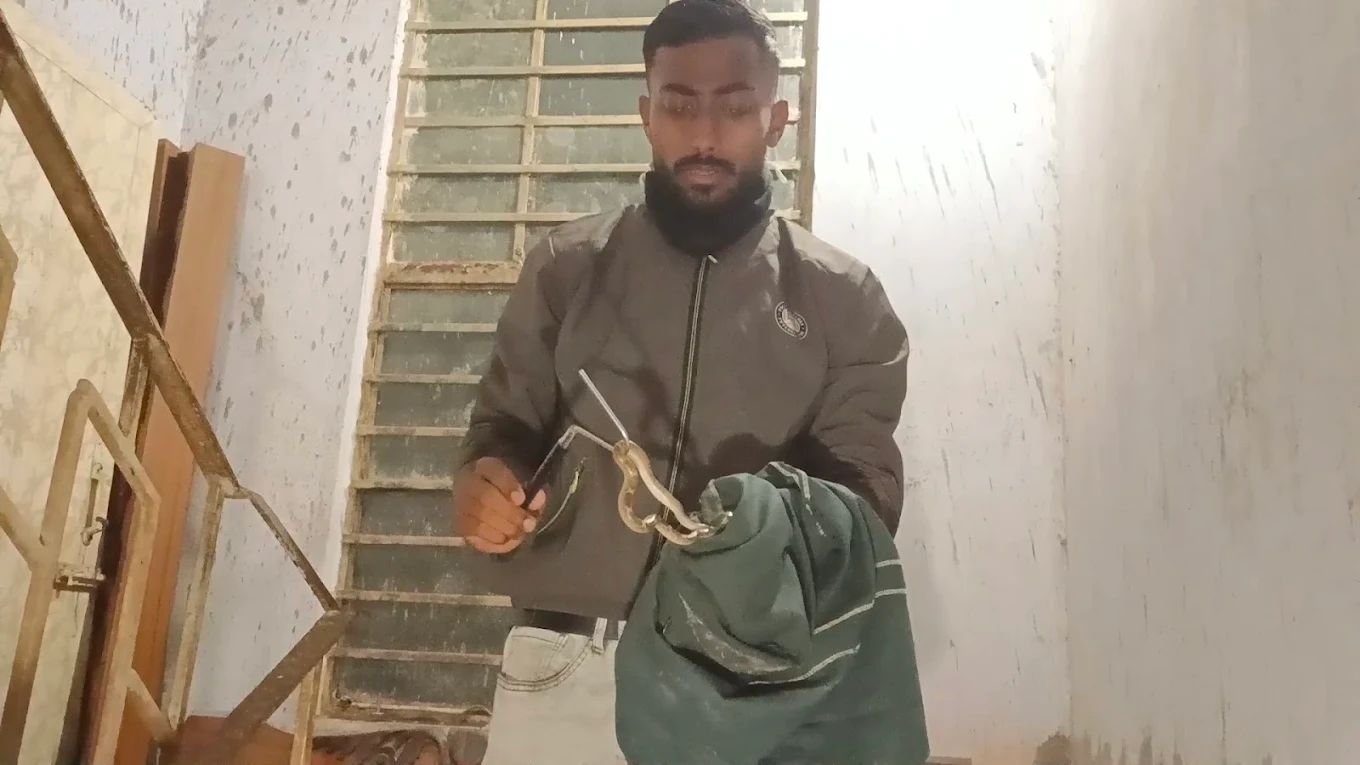 Snake Rescuer Bikram | Snake Rescue & Emergency Snake Removal Service cover photo