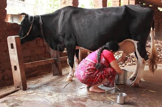 Sukumar Ghosh | Original Milk Provider